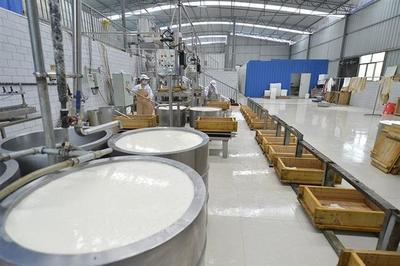 木匠轉(zhuǎn)行賣(mài)豆腐 匠心傳承，創(chuàng)業(yè)新篇